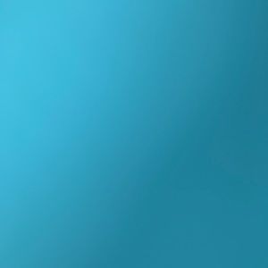 Meet your Posher, Anakin